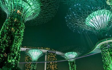 "Gardens by the Bay" landmark in Singapore, glowing green at night