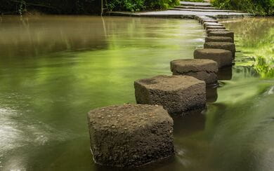 Stepping stones reaching across a tranquil pond in the UK