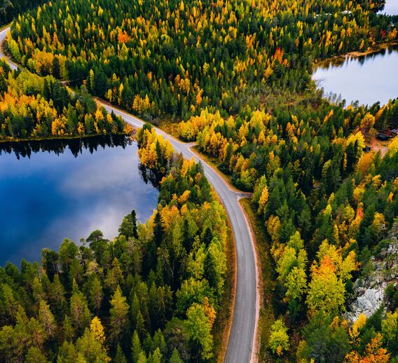 An aerial view of a scenic roadway through an evergreen forest in autumn