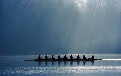 A group of people rowing